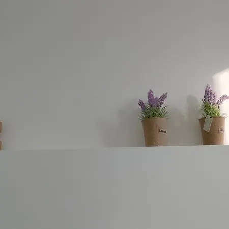 Apartman To Spitaki The Little House In The Heart Of Mykonos